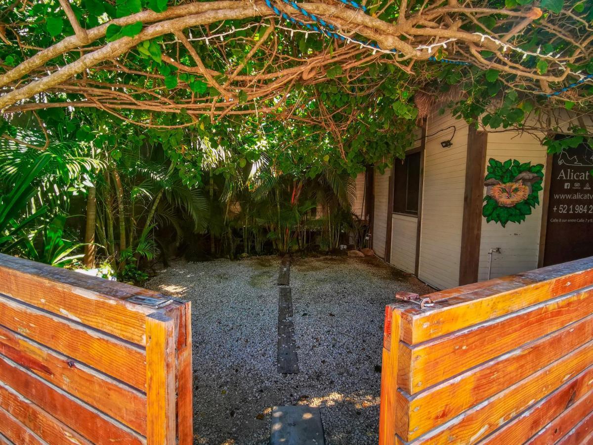 Alicat Villas Tulum Dış mekan fotoğraf